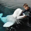Justin Bieber, divertido paseo en un acuario